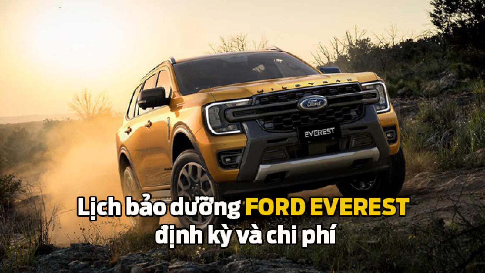 Bảo dưỡng xe Ford Everest: Lịch bảo dưỡng định kỳ và chi phí
